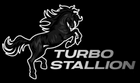 Turbo Stallion
